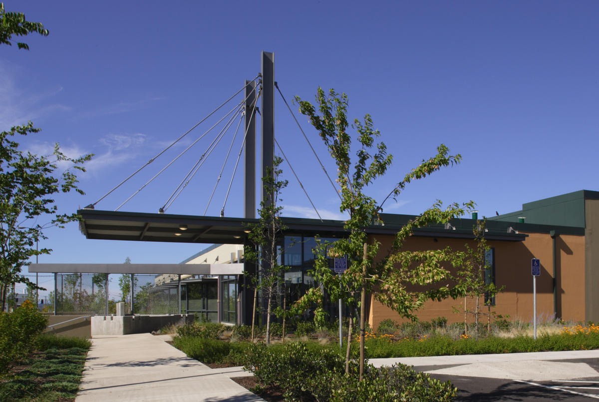 Waterleaf's Sustainability Action Plan