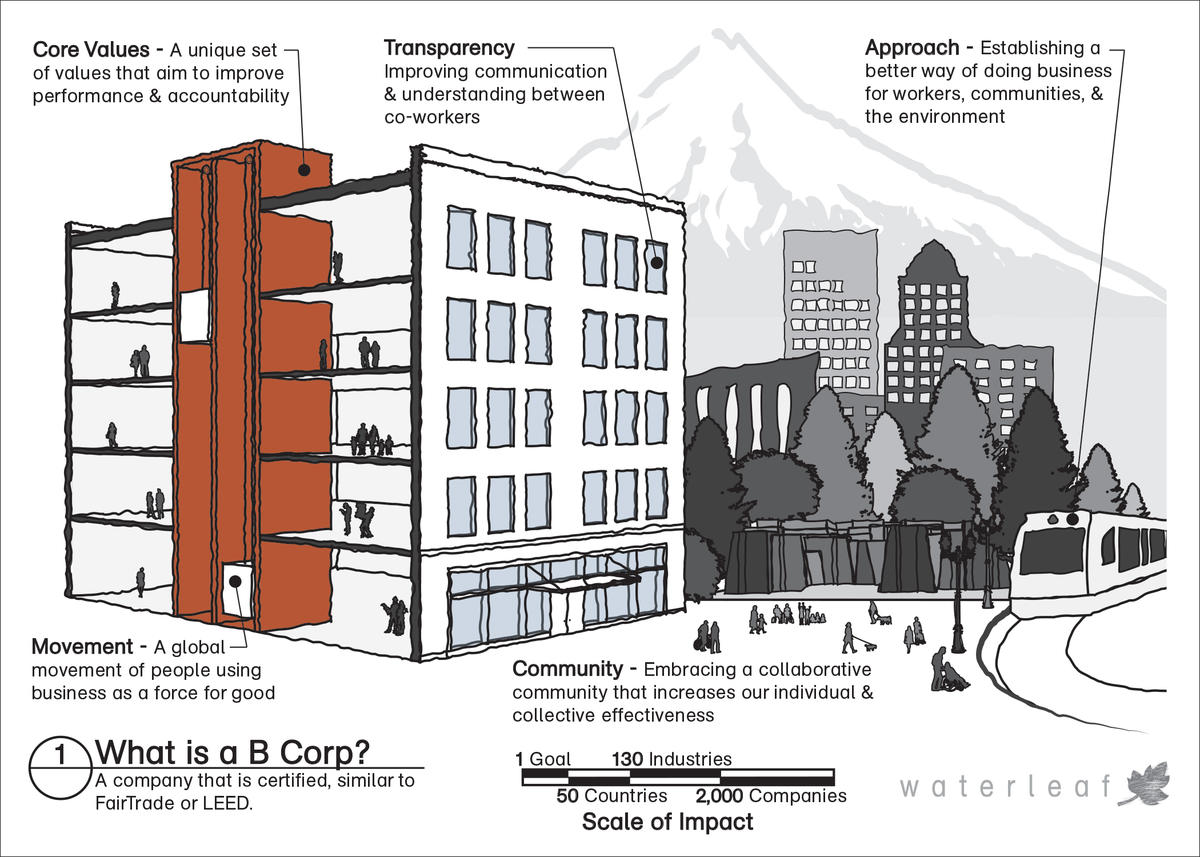 Our B Corporation Story